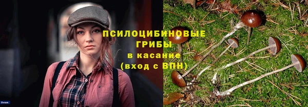 а пвп мука Козловка