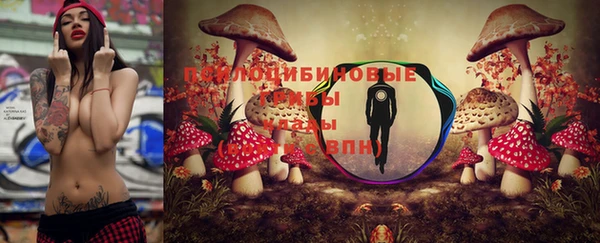 а пвп мука Козловка