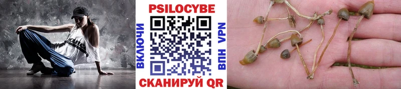 МЕГА рабочий сайт  Разумное  Псилоцибиновые грибы Psilocybine cubensis 